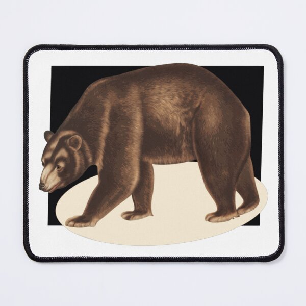 Item preview, Bear On A Black Backcolor designed and sold by TudyEvansio.