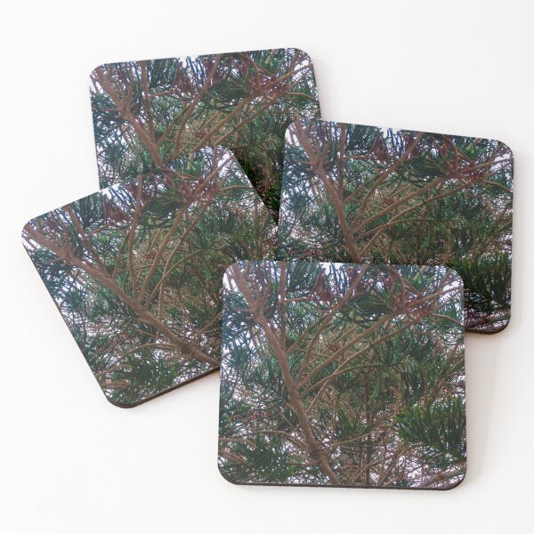 Item preview, Evergreen Tree Branches And Needles Close-Up Under Green Conifer Canopy In Nature designed and sold by Nmallia.