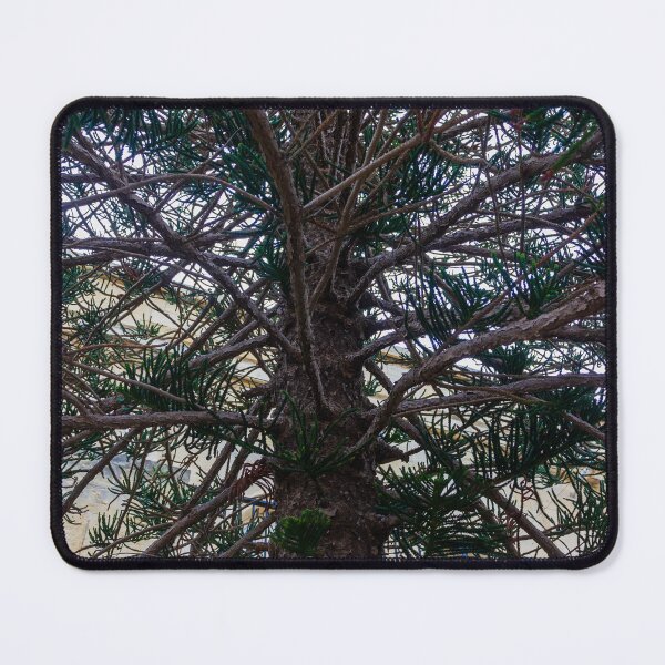 Item preview, Evergreen Tree Branches And Needles Close-Up Under Green Conifer Canopy In Nature designed and sold by Nmallia.