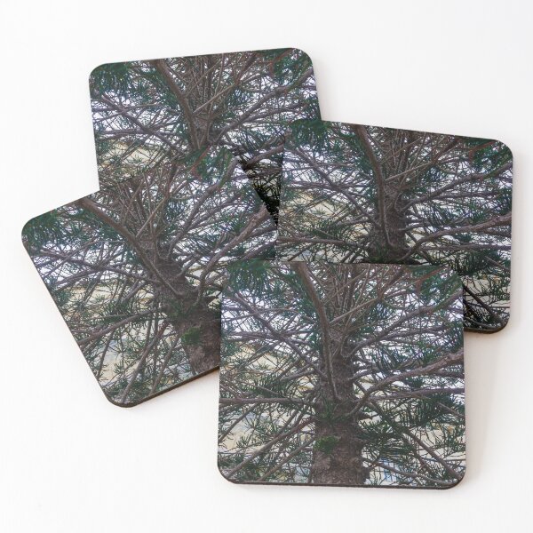 Item preview, Evergreen Tree Branches And Needles Close-Up Under Green Conifer Canopy In Nature designed and sold by Nmallia.