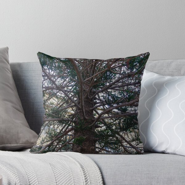 Item preview, Evergreen Tree Branches And Needles Close-Up Under Green Conifer Canopy In Nature designed and sold by Nmallia.