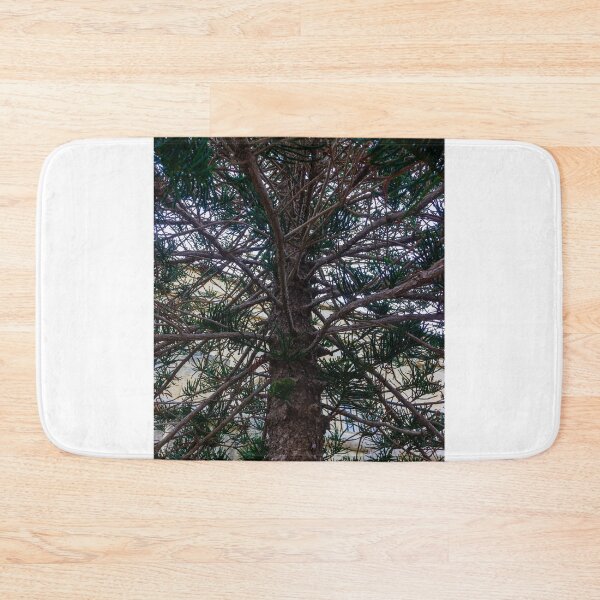 Item preview, Evergreen Tree Branches And Needles Close-Up Under Green Conifer Canopy In Nature designed and sold by Nmallia.