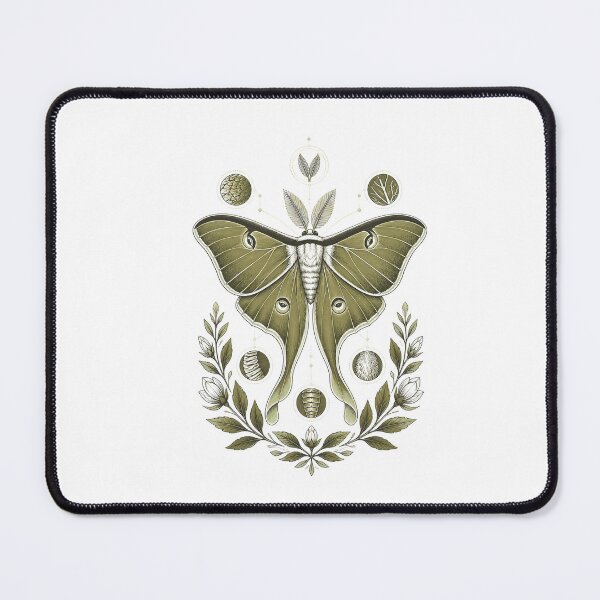 Item preview, Luna Moth Anatomy Cabinet Entomology Art designed and sold by BoyleDesignShop.