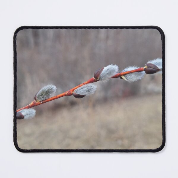 Item preview, Pussywillow designed and sold by Canopy & Canvas.