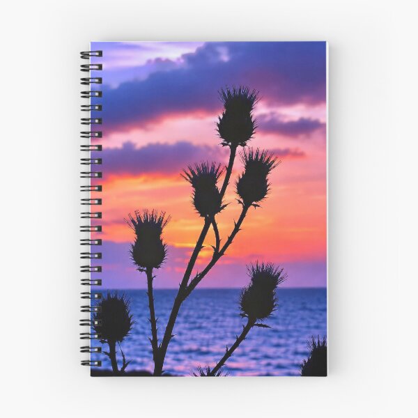 Item preview, Flowers of Scotland Sunset Photograph designed and sold by davidelder.