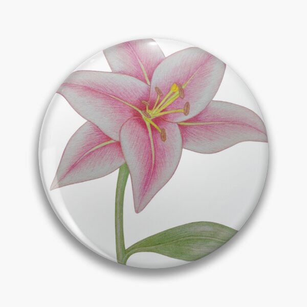Item preview, Pink Lily Colored Pencil Botanical Illustration designed and sold by calmcolourprint.