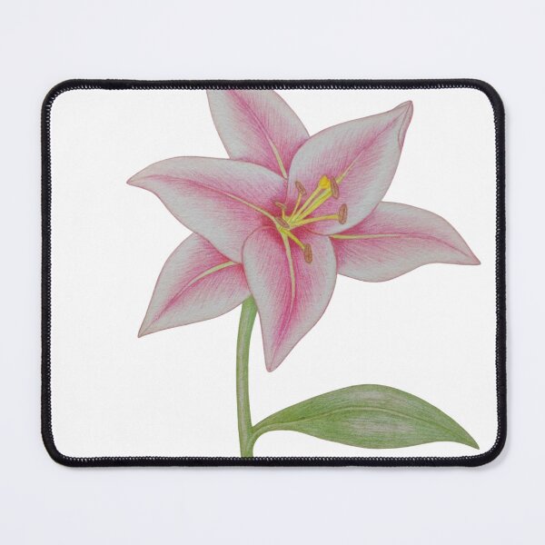 Item preview, Pink Lily Colored Pencil Botanical Illustration designed and sold by calmcolourprint.