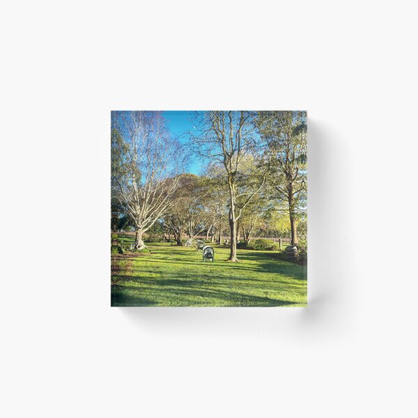 Item preview, Winter Sunlit Garden at Magpie Springs designed and sold by MagpieSprings.
