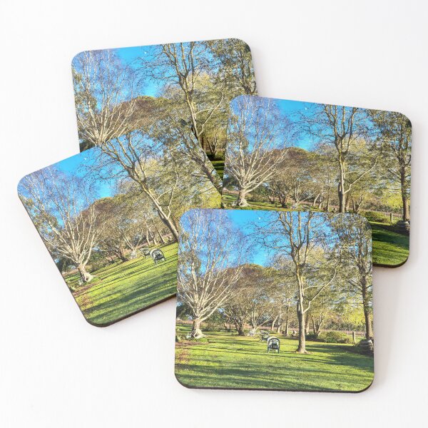 Item preview, Winter Sunlit Garden at Magpie Springs designed and sold by MagpieSprings.