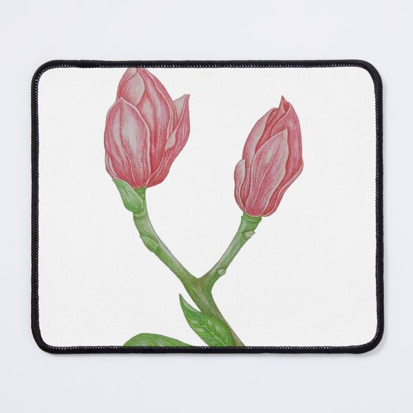 Item preview, Magnolia Bud Colored Pencil Botanical Illustration designed and sold by calmcolourprint.