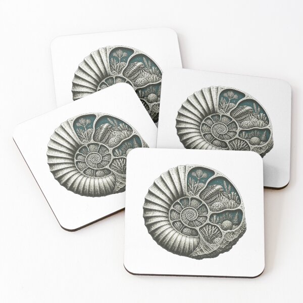 Artikelvorschau, Ammonite Fossil Prehistoric Reef Cutaway entworfen und verkauft von BoyleDesignShop.