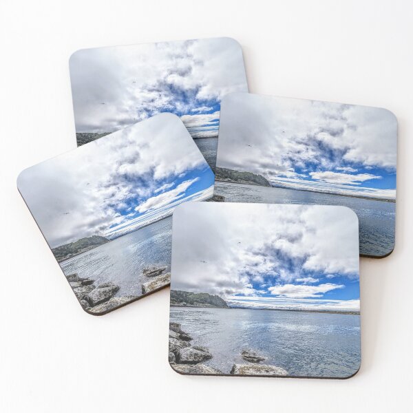 Item preview, Bay Gulls designed and sold by GJWPhotos.