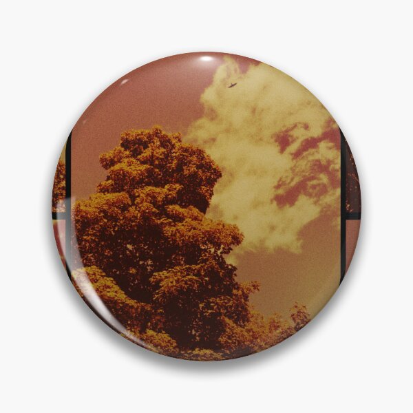 Item preview, bird soaring above the trees at dunkeld (scotland) (may 2026) designed and sold by photosbykel.