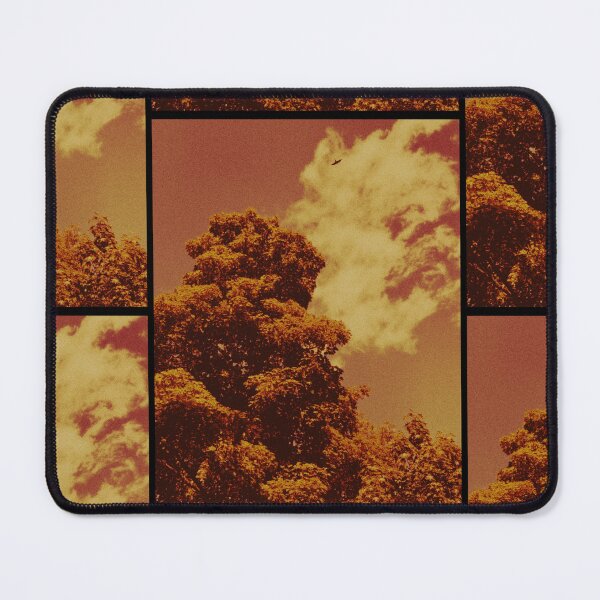 Item preview, bird soaring above the trees at dunkeld (scotland) (may 2026) designed and sold by photosbykel.