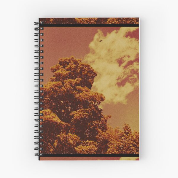 Item preview, bird soaring above the trees at dunkeld (scotland) (may 2026) designed and sold by photosbykel.