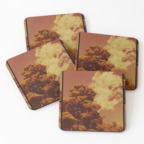Item preview, bird soaring above the trees at dunkeld (scotland) (may 2026) designed and sold by photosbykel.