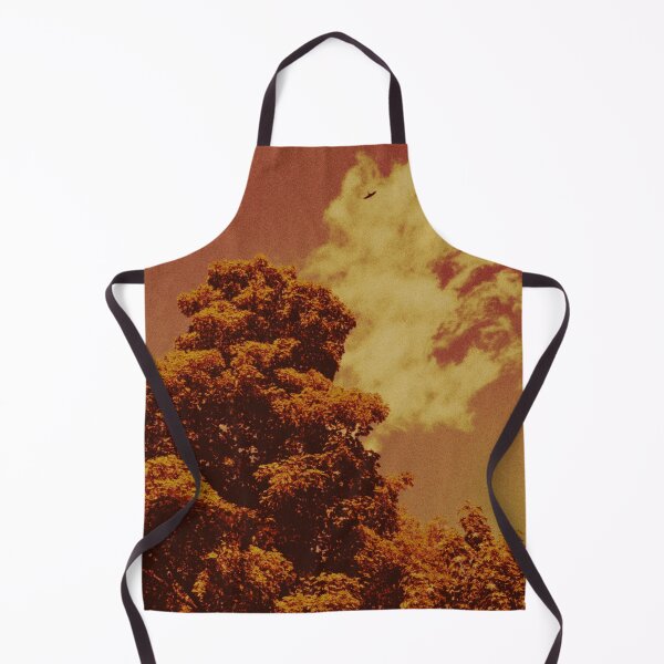Item preview, bird soaring above the trees at dunkeld (scotland) (may 2026) designed and sold by photosbykel.