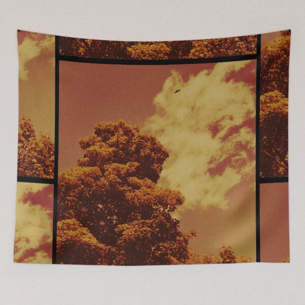 Item preview, bird soaring above the trees at dunkeld (scotland) (may 2026) designed and sold by photosbykel.