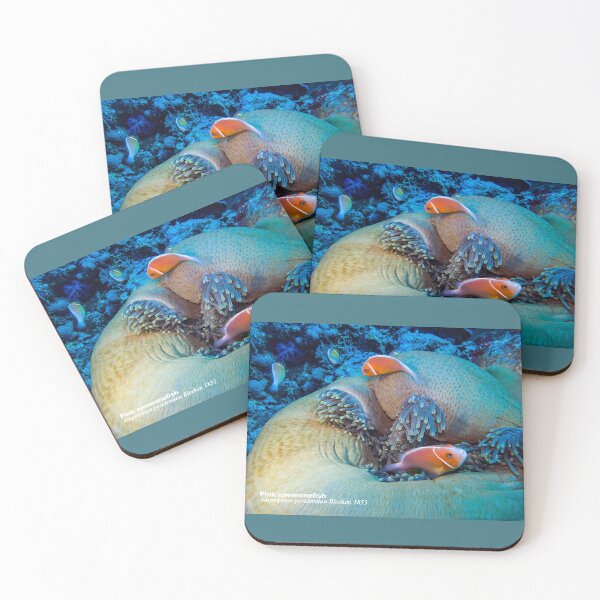 Item preview, Pink anemonefish at home designed and sold by tank200bar.