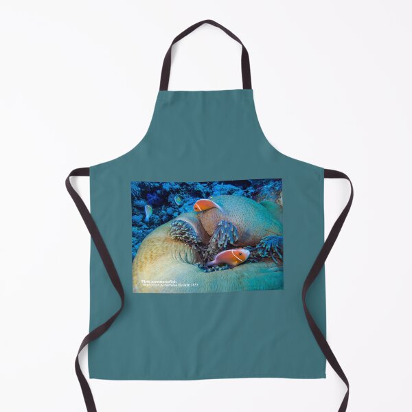 Item preview, Pink anemonefish at home designed and sold by tank200bar.