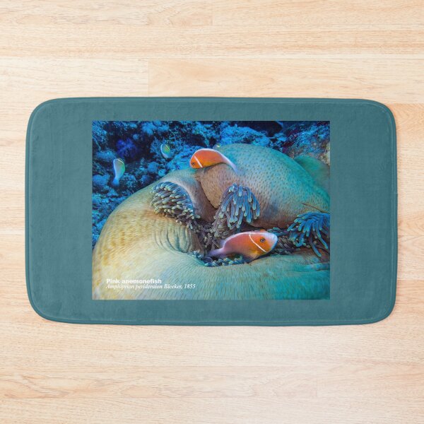 Item preview, Pink anemonefish at home designed and sold by tank200bar.