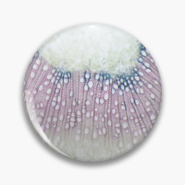 Item preview, Poplar tree wood cells  designed and sold by DendroLens.