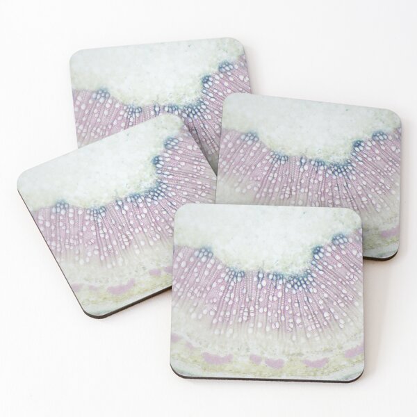 Item preview, Poplar tree wood cells  designed and sold by DendroLens.