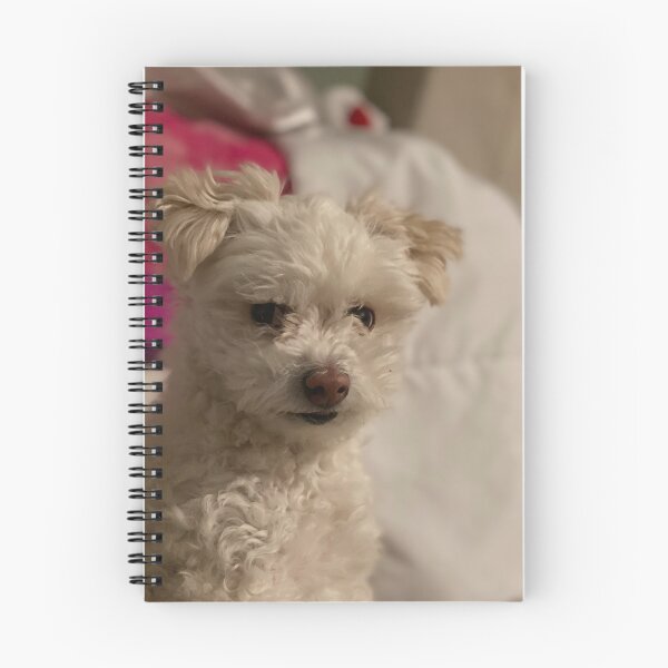 Item preview, High Quality White Mexican Dog designed and sold by Kittytears.