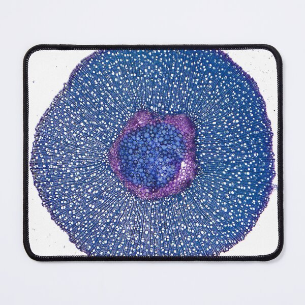 Item preview, Xylem Halo designed and sold by DendroLens.