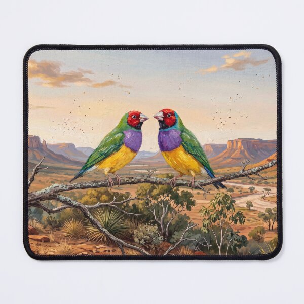 Item preview, Pair of Gouldian Finches in their Kimberley habitat designed and sold by Gouldian Care.