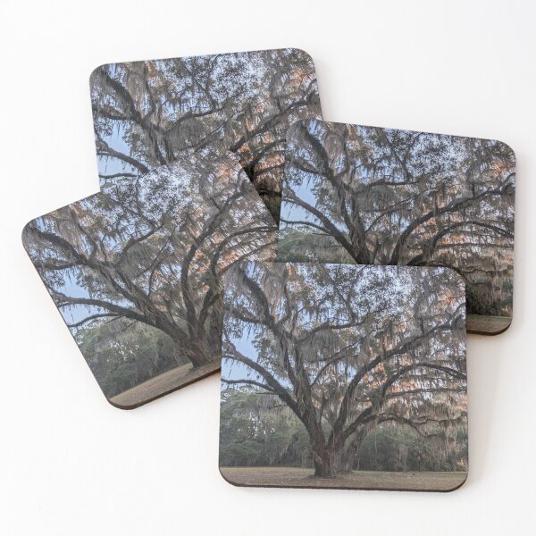 Item preview, You Got Mossed designed and sold by GJWPhotos.