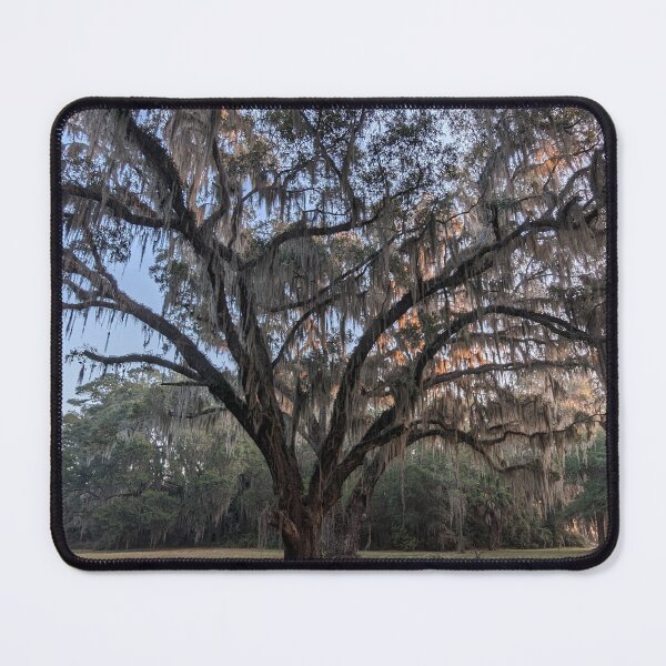 Item preview, You Got Mossed designed and sold by GJWPhotos.