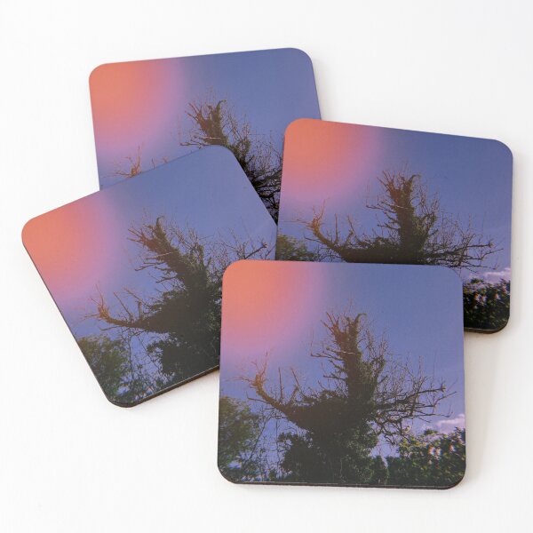 Item preview, huji-fied portrait of a tree (dunblane, scotland) (may 2026) designed and sold by photosbykel.