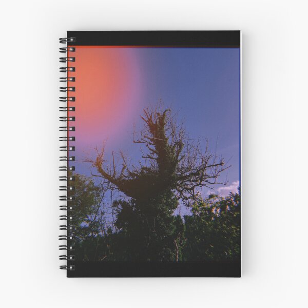 Item preview, huji-fied portrait of a tree (dunblane, scotland) (may 2026) designed and sold by photosbykel.