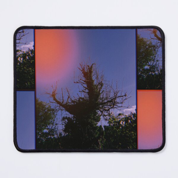 Item preview, huji-fied portrait of a tree (dunblane, scotland) (may 2026) designed and sold by photosbykel.