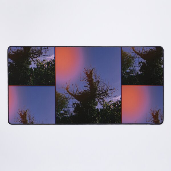 Item preview, huji-fied portrait of a tree (dunblane, scotland) (may 2026) designed and sold by photosbykel.