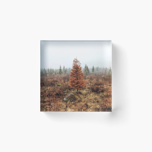 Item preview, Spring Tree designed and sold by Stéphane Richard.
