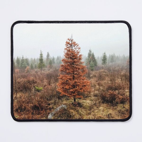 Item preview, Spring Tree designed and sold by Stéphane Richard.