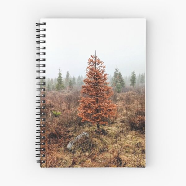 Item preview, Spring Tree designed and sold by Stéphane Richard.