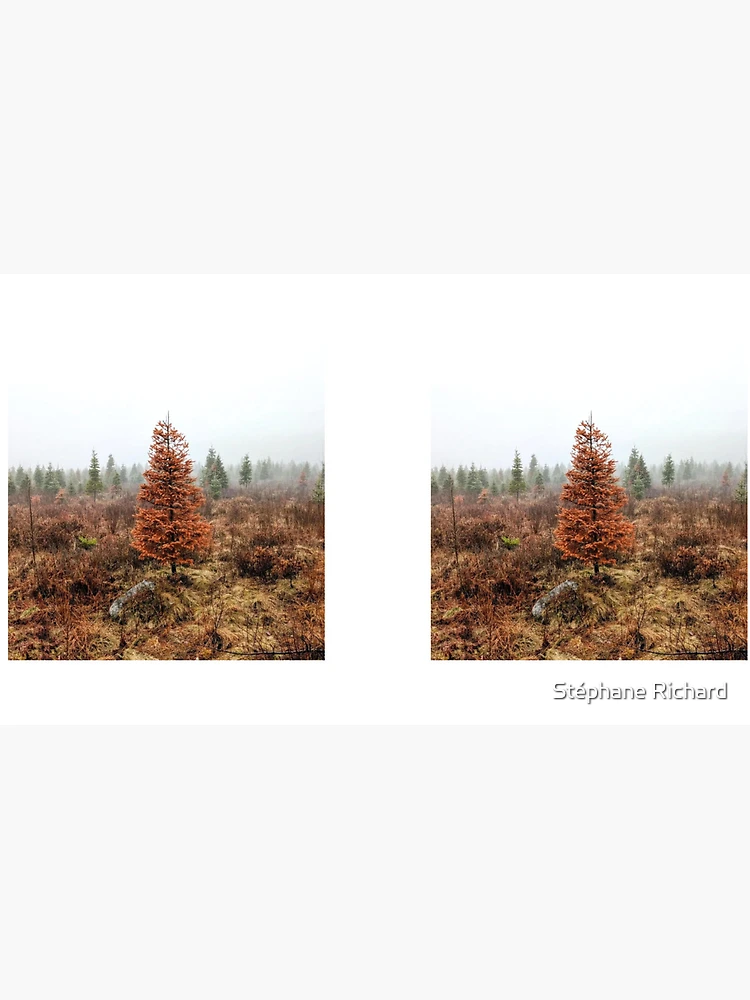 Thumbnail 4 of 4, Coffee Mug, Spring Tree designed and sold by Stéphane Richard.