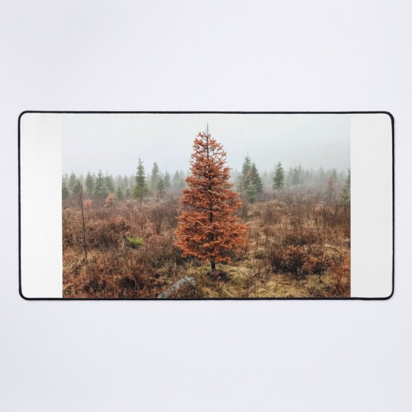 Item preview, Spring Tree designed and sold by Stéphane Richard.