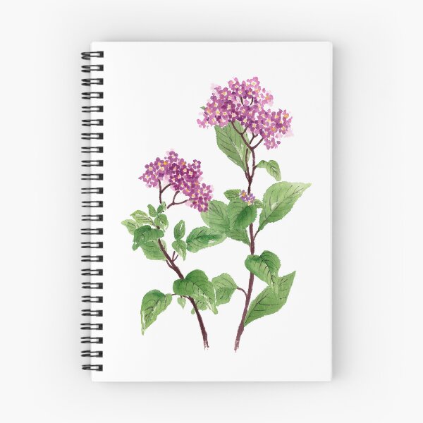 Item preview, May 24th birthday flower Heliotrope designed and sold by 366birthflower.