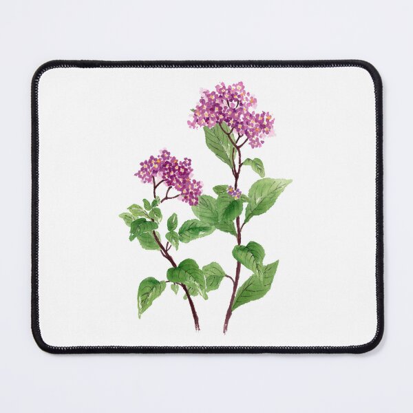 Item preview, May 24th birthday flower Heliotrope designed and sold by birthflower.