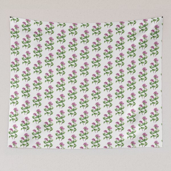 Item preview, May 24th birthday flower Heliotrope designed and sold by birthflower.