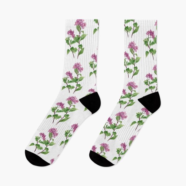 Item preview, May 24th birthday flower Heliotrope designed and sold by birthflower.
