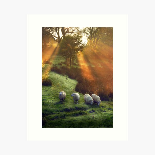 Item preview, Holy Sheep!  designed and sold by Angie Latham.