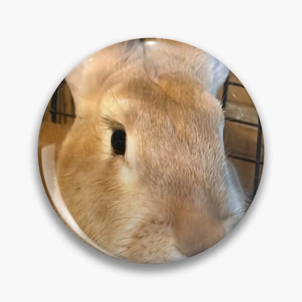 Item preview, Cottontail  designed and sold by Common Graces.