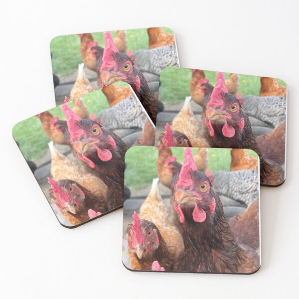 Item preview, Chickens designed and sold by Common Graces.