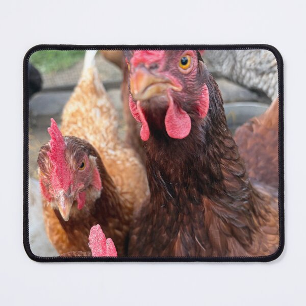 Item preview, Chickens designed and sold by Common Graces.