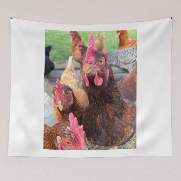 Item preview, Chickens designed and sold by Common Graces.